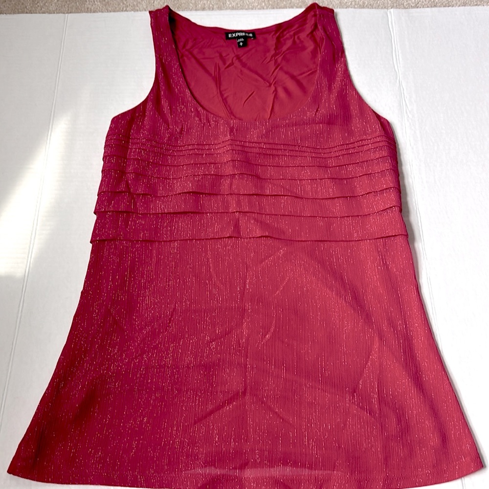 Express Sleeveless Sparkly Top